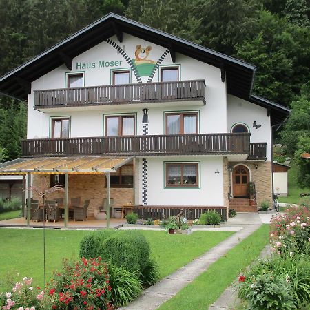 Haus Moser Wörschach Extérieur photo